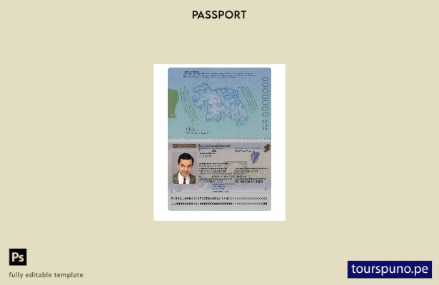 Plantilla de pasaporte de Irlanda lista para imprimir